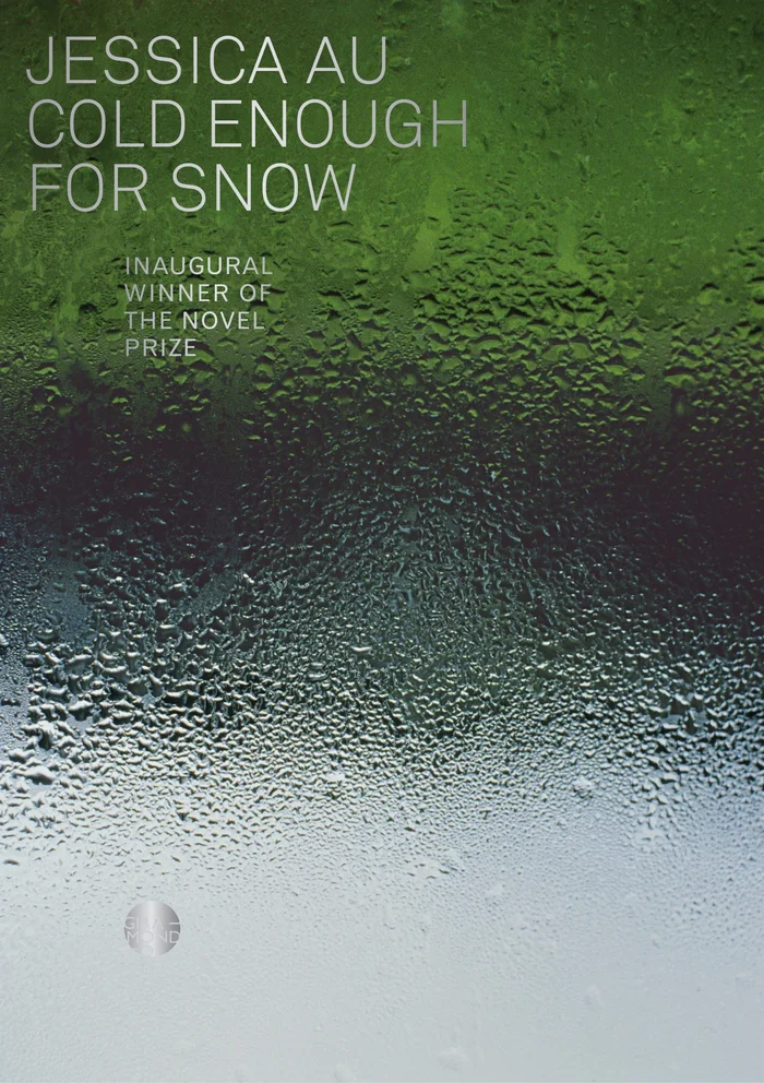 Cold Enough for Snow book cover